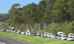 Interchange plan survives savage cuts