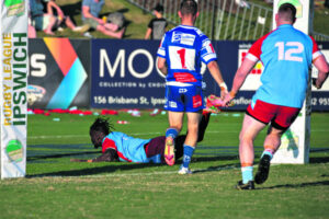 Swifts look to North Ipswich fields