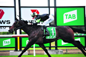 Nothdurft says Better Get Set ready for more wins