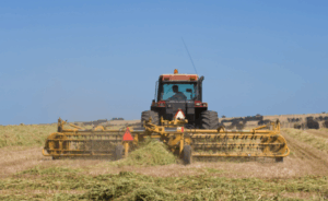 Farmers to meet as fire ant rules cripple bottom line