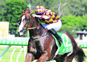 New bluebloods boost Heathcote’s confidence