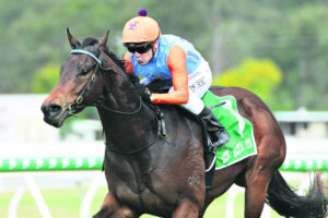 Humble champion Vlad has nothing left to prove