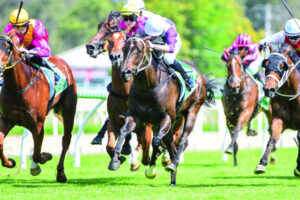 Pat just wants to keep training winners