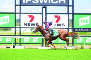 Fancourt helps $2.8 million flop get shot at redemption