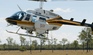 Fire ant program slammed over GMO bait silence