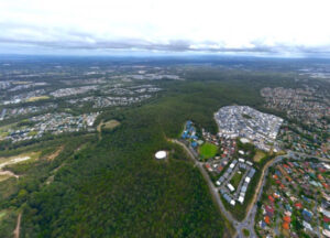 Endangered animals that will be in path of bulldozers