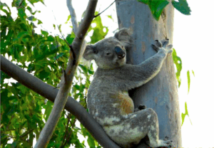 Jimmy clings on against the odds