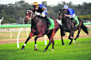 Ipswich Racing: Befana starts to show the profit of patience