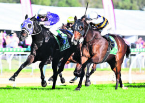 Council reins in events sponsorship