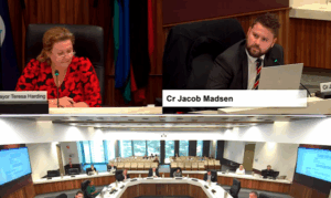 Mayor outvoted as advisory panels roll out