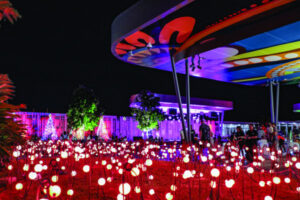 What’s On In Ipswich