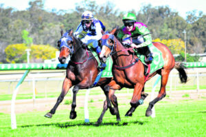 Trainer gets welcome tonic from mare’s win
