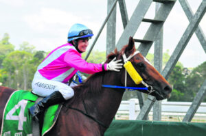 Loyalty wins out for Harold and Rikki