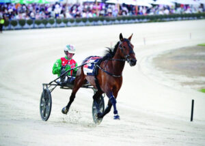 Border Trots 20th December 2023