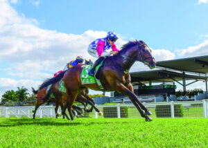 Jace is on the fast track to fame