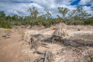 Councillors speak out on Deebing Creek
