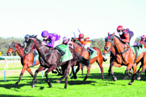 Wilson-Taylor highlights value of feeling for the horse