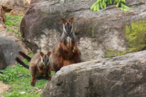 Exciting time to visit Nature Centre