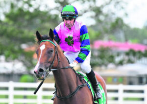 Toby is proud of his life with horses