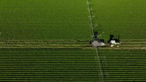 A sustainable food future for SEQ