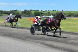 Marburg’s new harness facility