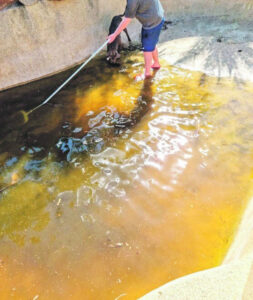 GROUP’S DESPERATE HOME SEARCH