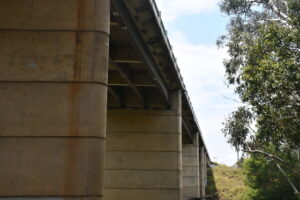TMR coy on Bremer bridge works