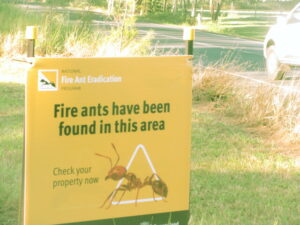 Fire ant battle praise