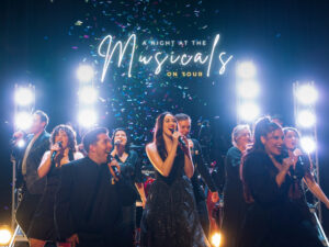 Ipswich talent shines in A Night At The Musicals