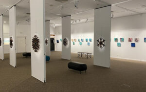 Meaningful works on show at Lockyer Art Gallery