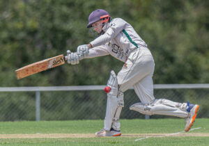 Ipswich cricket results