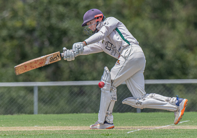 Ipswich cricket results
