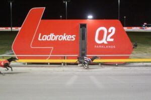 Top greyhounds awarded