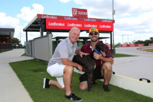 The Q’s hot winter