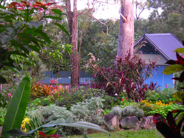 Revisit paradise at Coucal